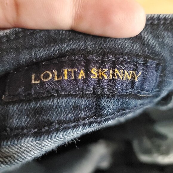 Lucky Brand Jeans Womens Size 10 Blue Lolita Skinny Mid Rise Stretch Denim - Picture 5 of 13